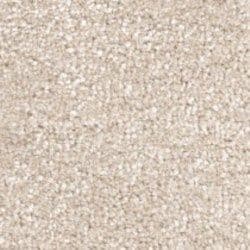 Cambrian Stone