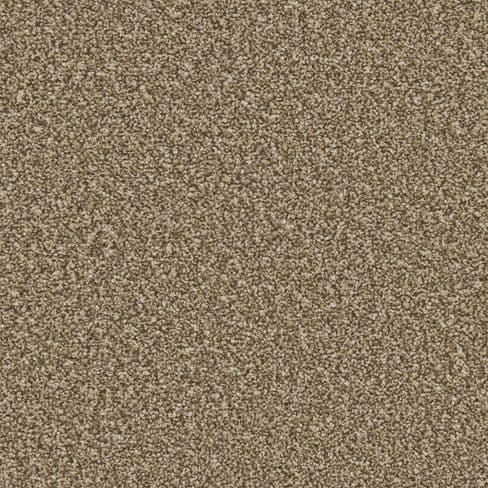 Cork Oak