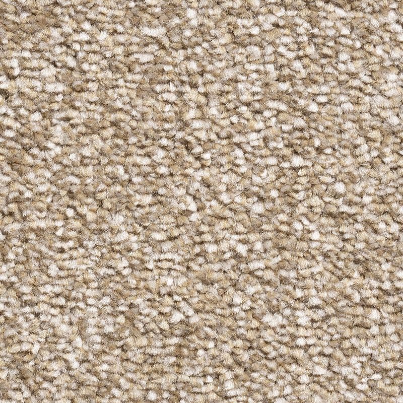 Cornsilk