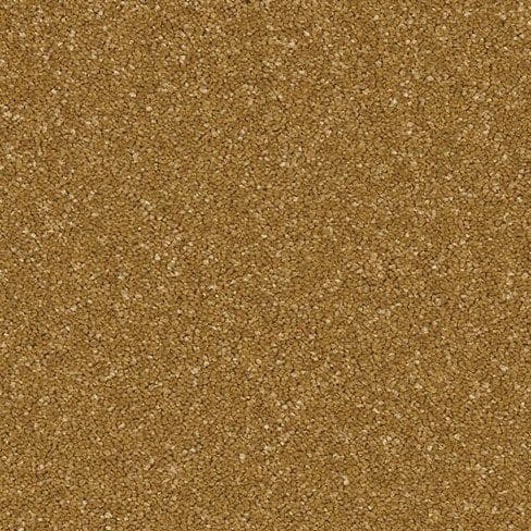 Midas Touch