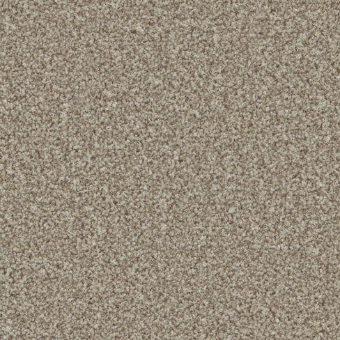 Pale Oak